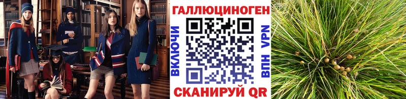 Галлюциногенные грибы MAGIC MUSHROOMS  Купить закладки  Сосновка 